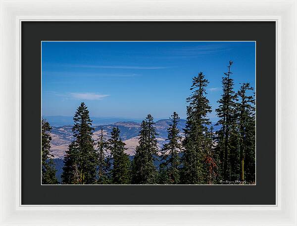 Threw the trees  - Framed Print