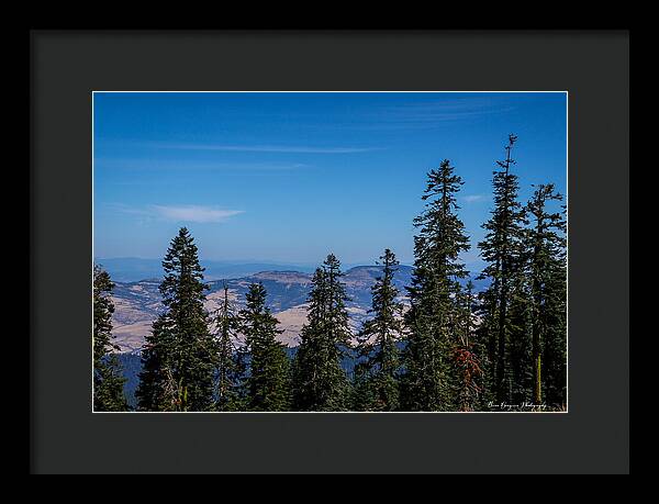 Threw the trees  - Framed Print