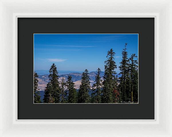 Threw the trees  - Framed Print