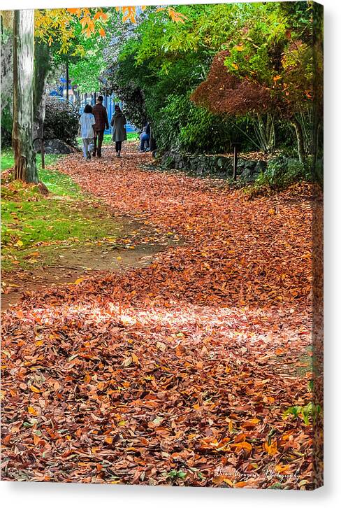 Walk along the park  - Canvas Print