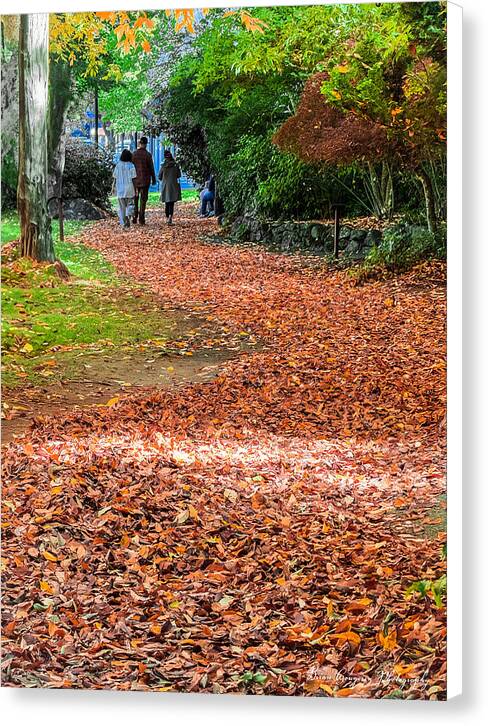 Walk along the park  - Canvas Print