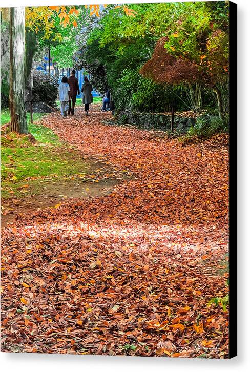 Walk along the park  - Canvas Print
