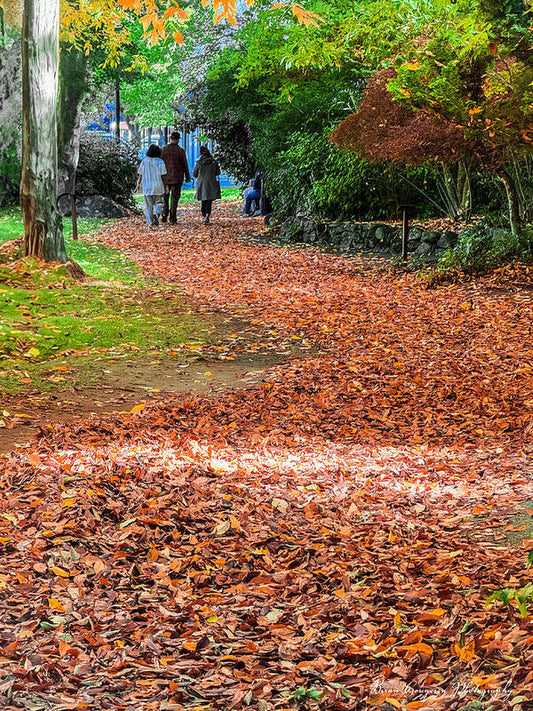 Walk along the park  - Art Print