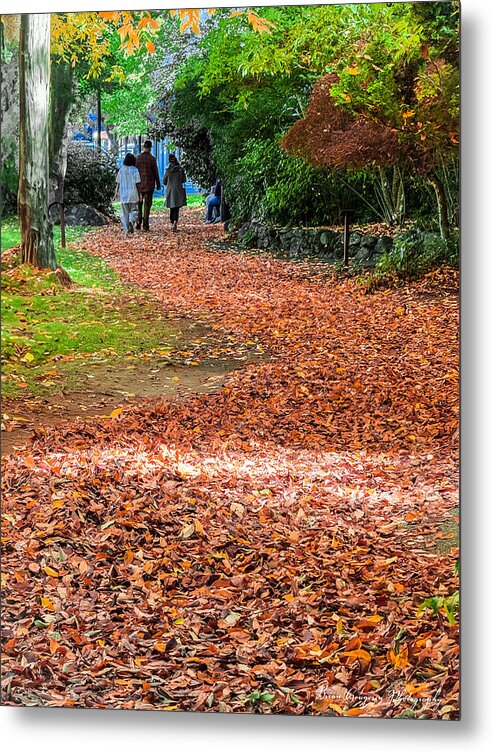 Walk along the park  - Metal Print