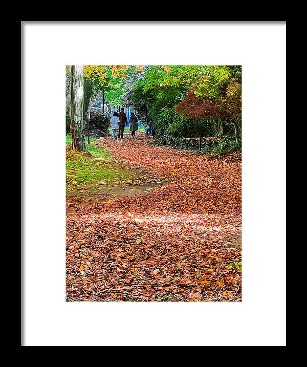 Walk along the park  - Framed Print