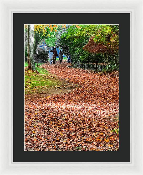Walk along the park  - Framed Print