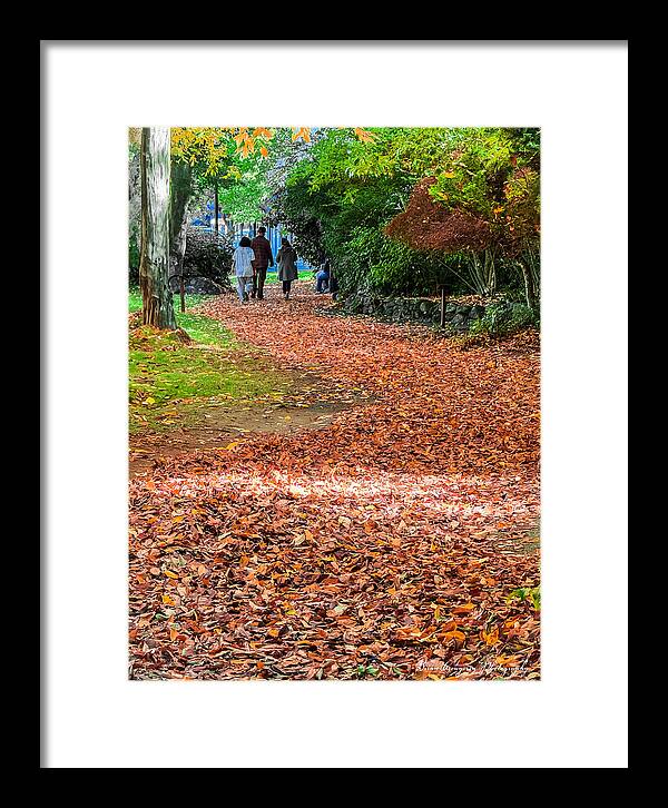 Walk along the park  - Framed Print