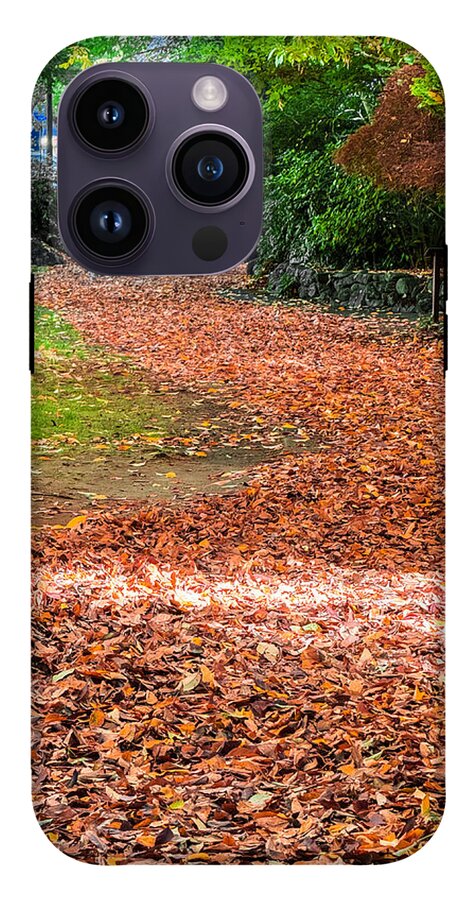Walk along the park  - Phone Case