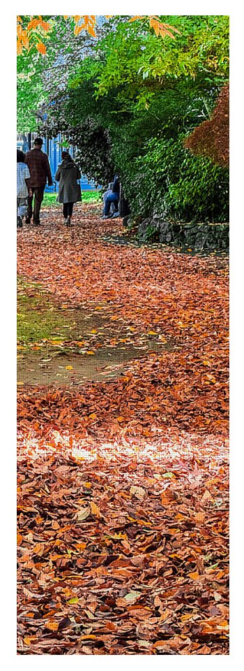 Walk along the park  - Yoga Mat