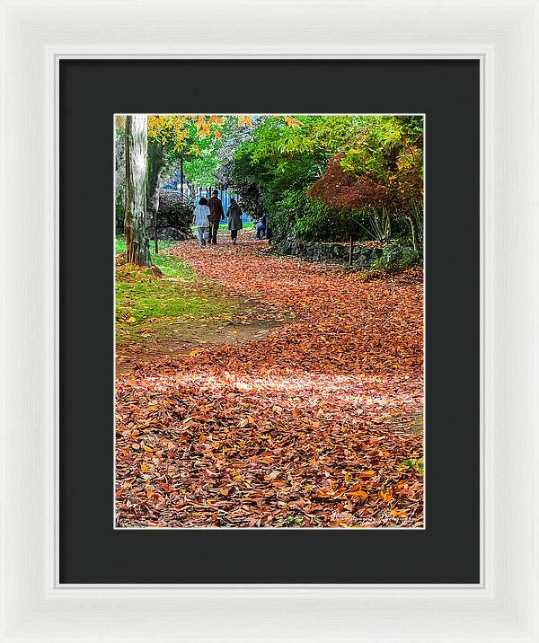Walk along the park  - Framed Print