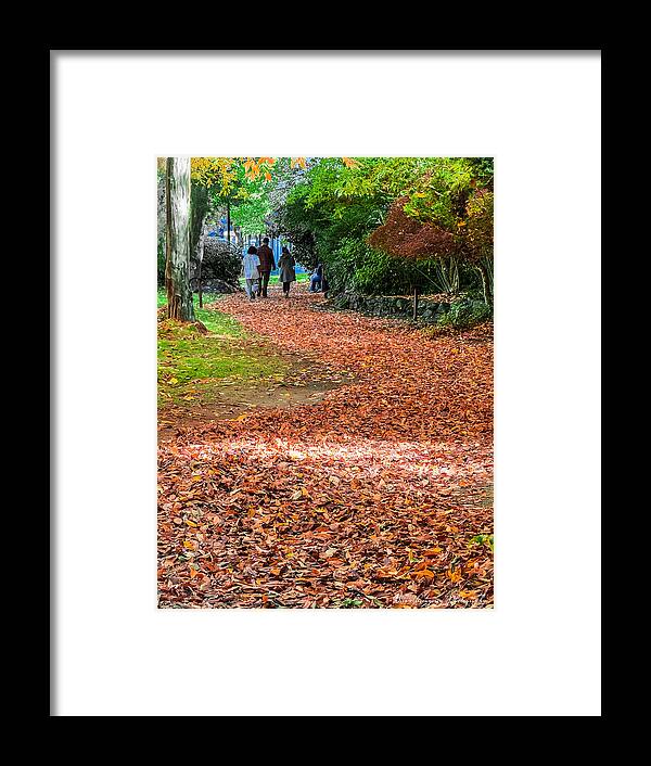 Walk along the park  - Framed Print