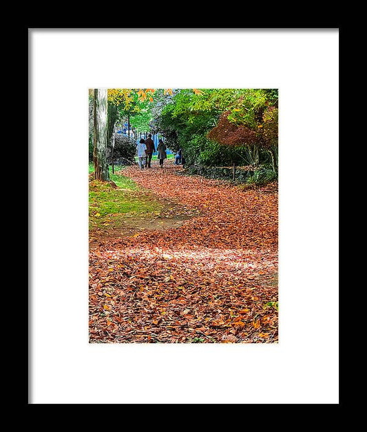 Walk along the park  - Framed Print