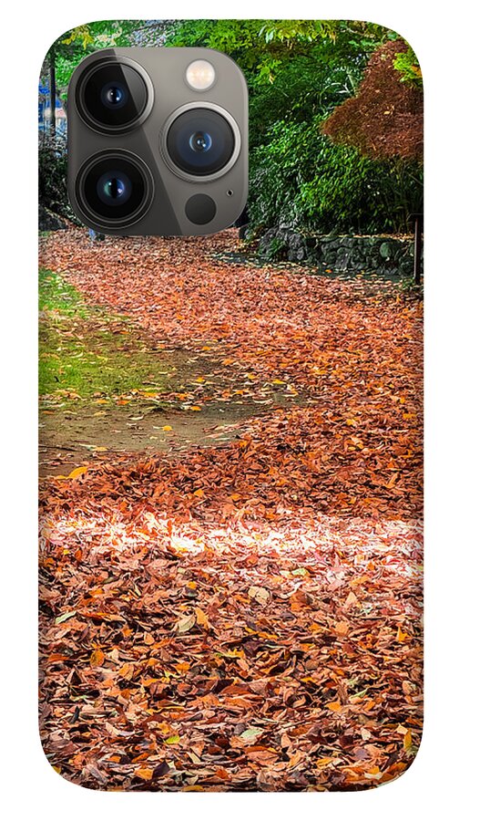 Walk along the park  - Phone Case
