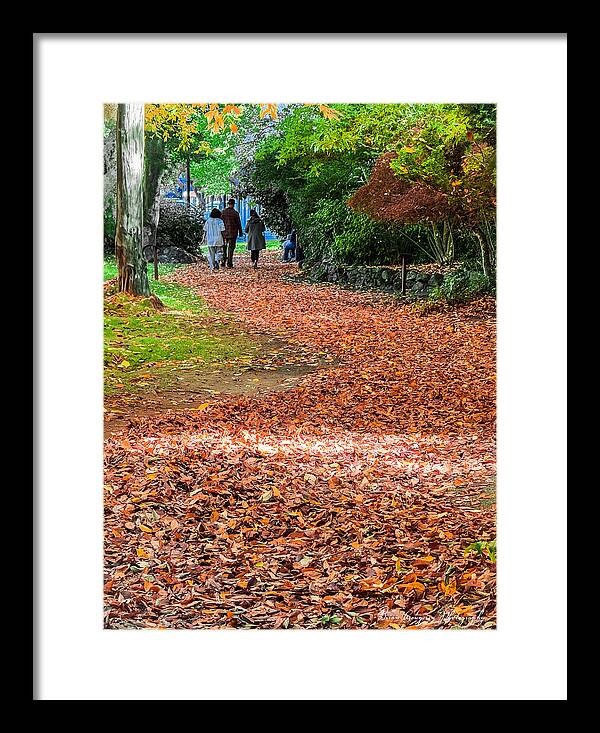 Walk along the park  - Framed Print