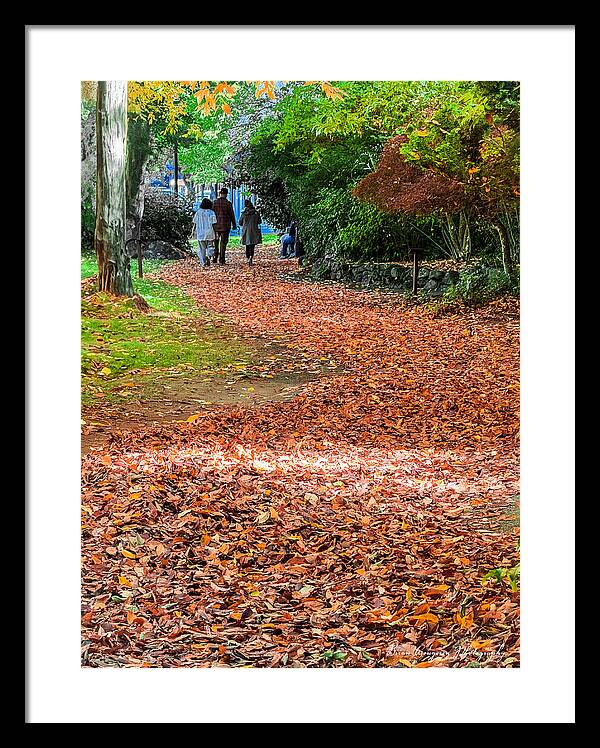Walk along the park  - Framed Print