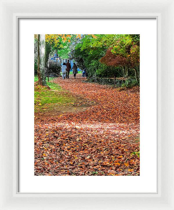 Walk along the park  - Framed Print