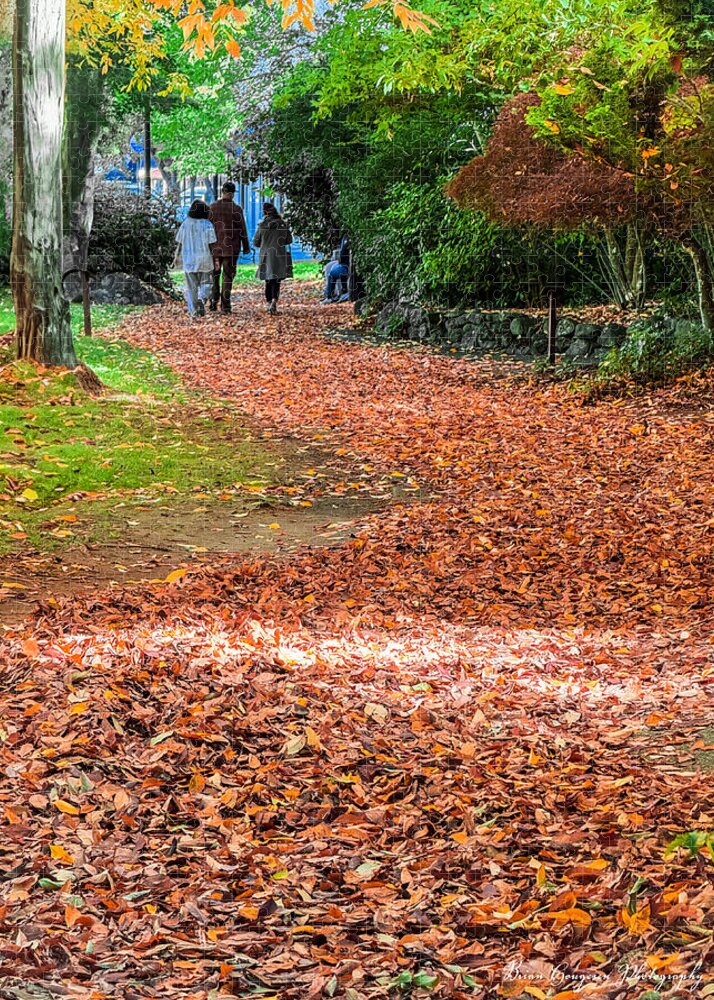 Walk along the park  - Puzzle