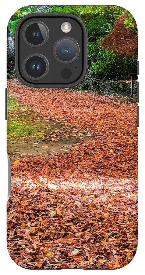 Walk along the park  - Phone Case