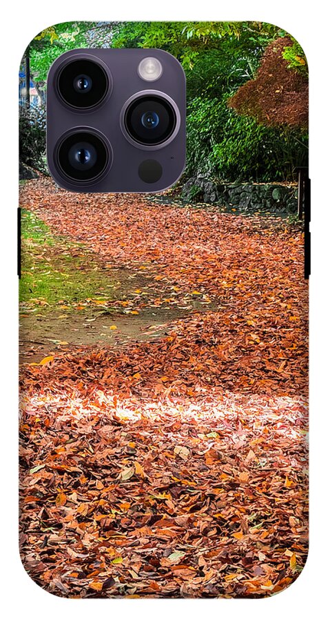 Walk along the park  - Phone Case