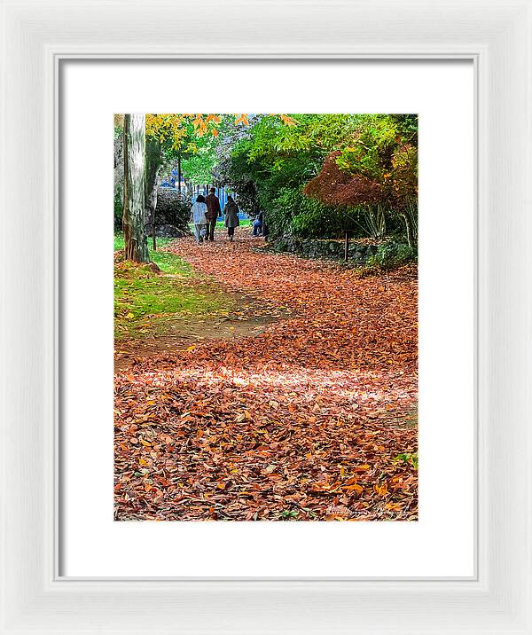 Walk along the park  - Framed Print