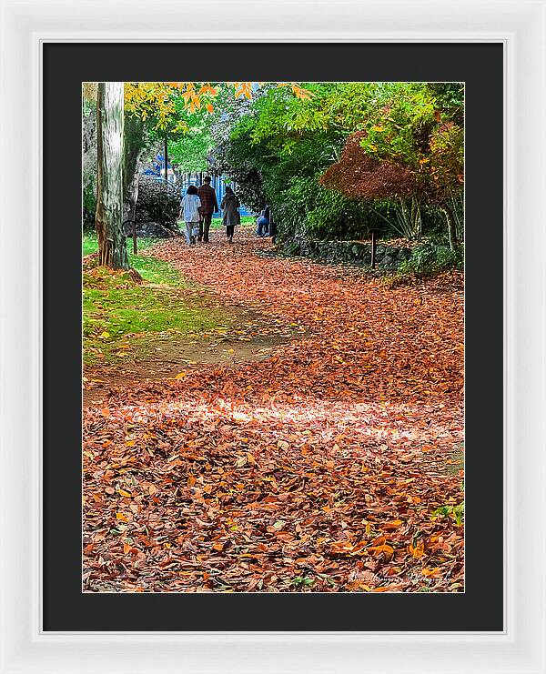 Walk along the park  - Framed Print