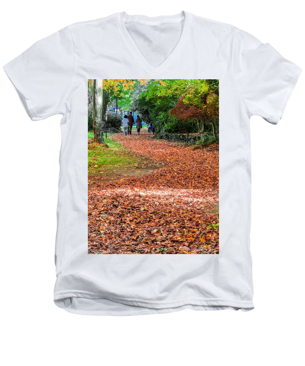 Walk along the park  - Men's V-Neck T-Shirt