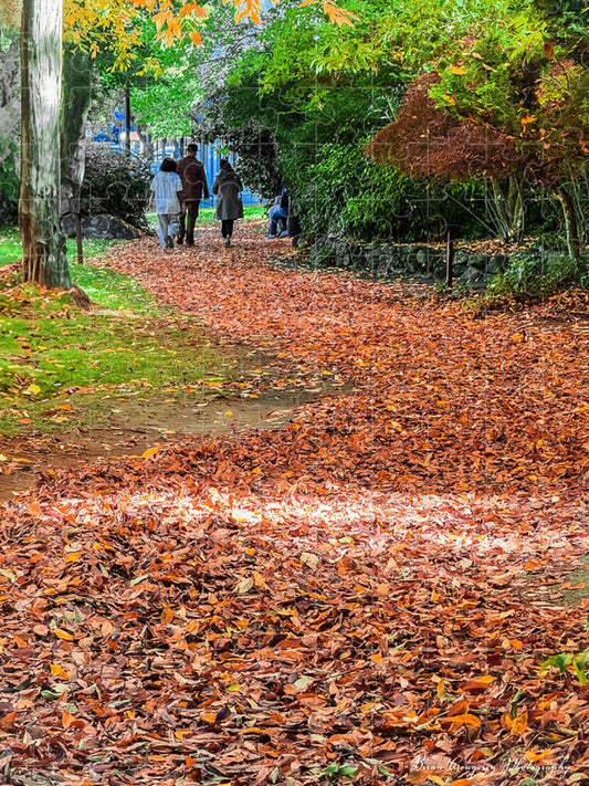 Walk along the park  - Puzzle