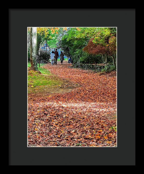 Walk along the park  - Framed Print