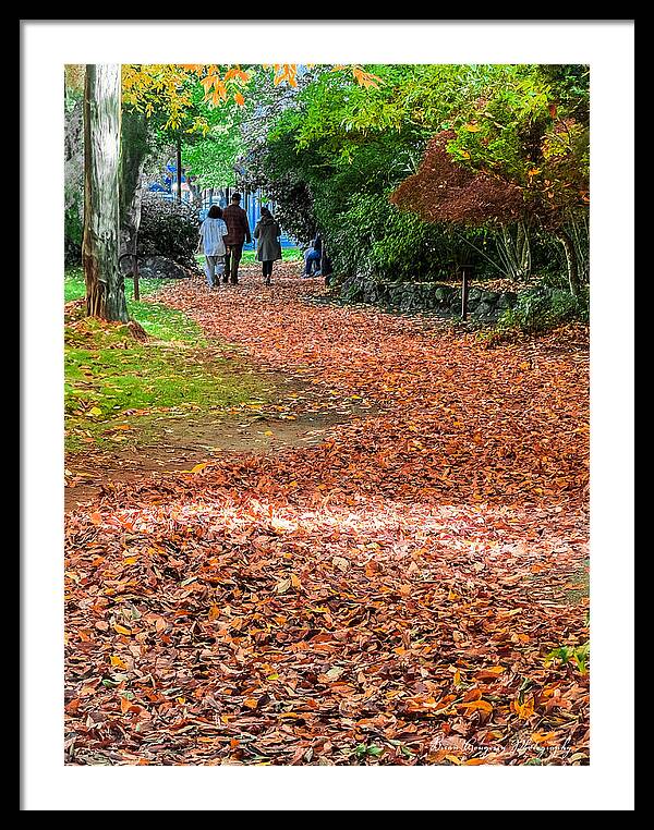 Walk along the park  - Framed Print