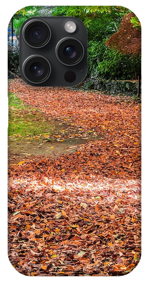 Walk along the park  - Phone Case