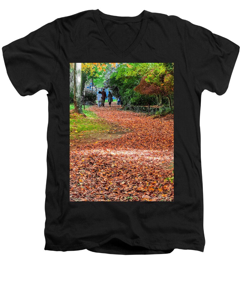 Walk along the park  - Men's V-Neck T-Shirt