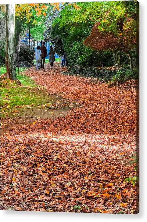 Walk along the park  - Acrylic Print