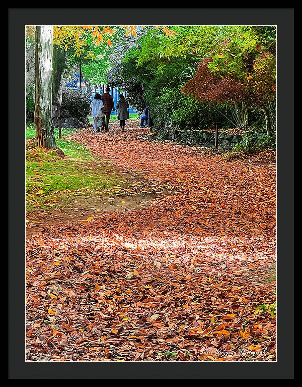 Walk along the park  - Framed Print