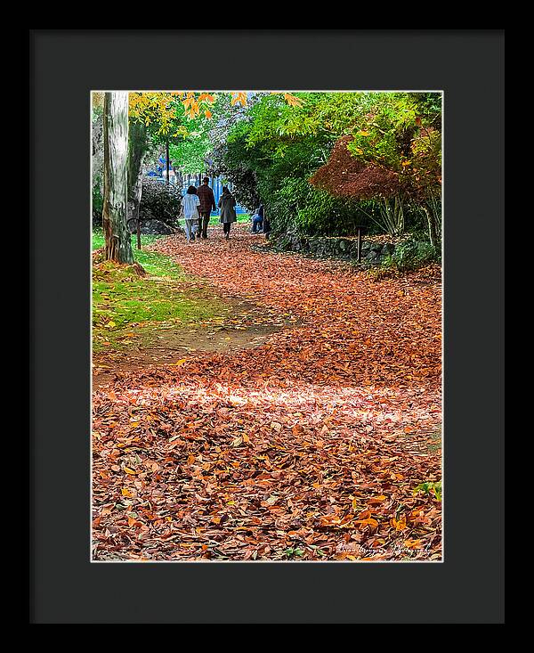 Walk along the park  - Framed Print