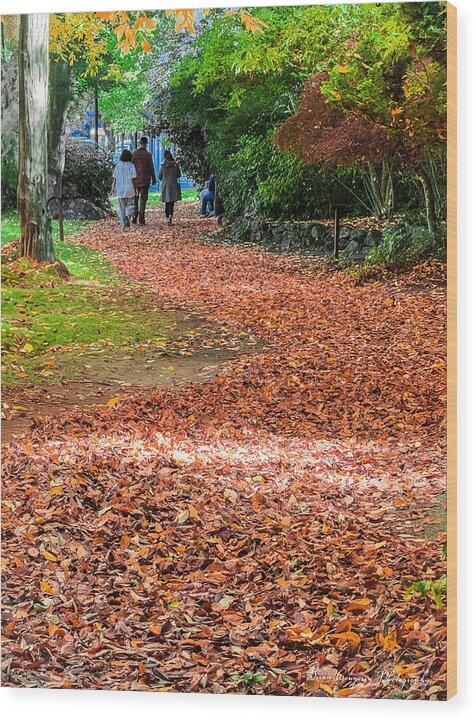 Walk along the park  - Wood Print