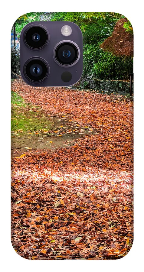 Walk along the park  - Phone Case