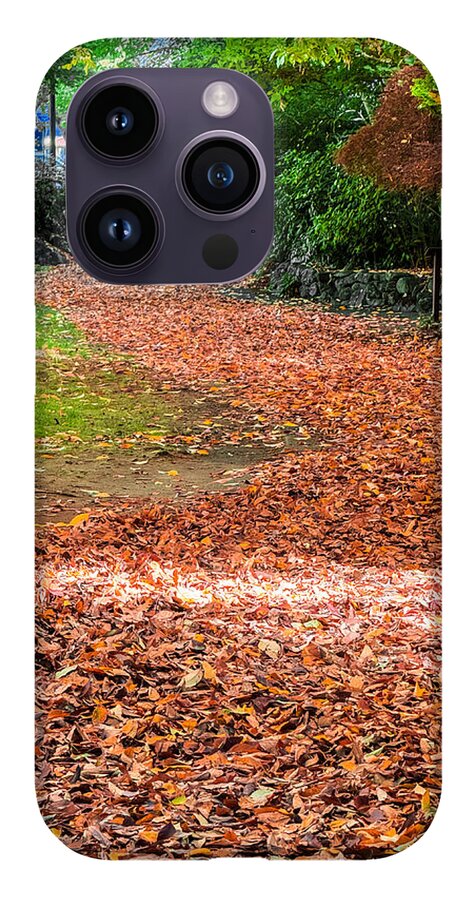 Walk along the park  - Phone Case