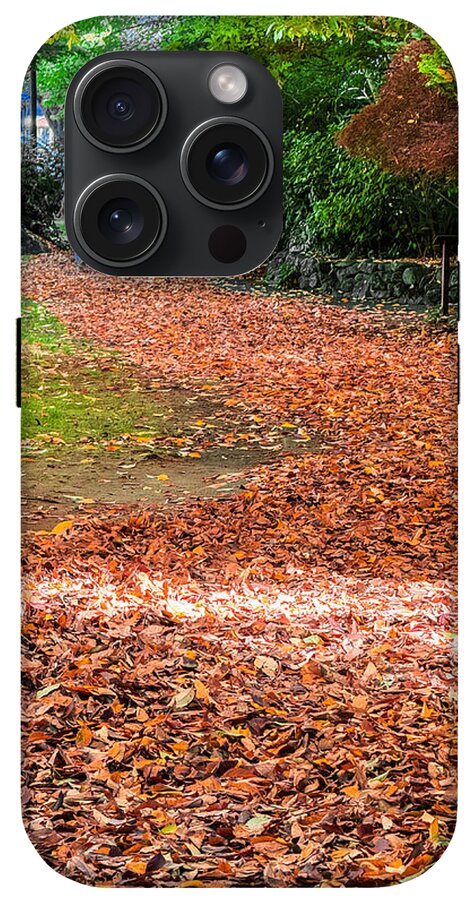 Walk along the park  - Phone Case