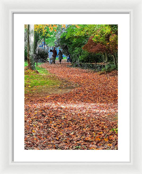 Walk along the park  - Framed Print