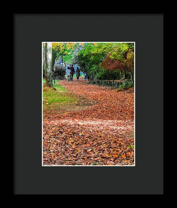 Walk along the park  - Framed Print