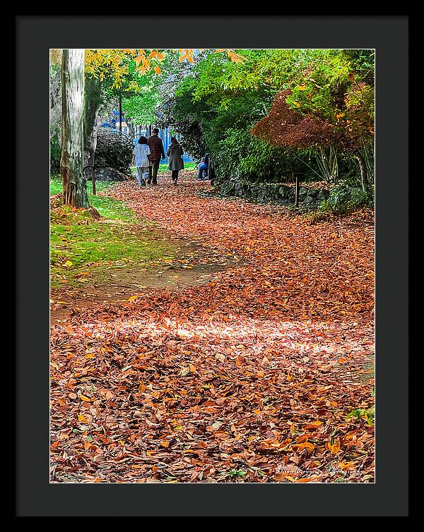 Walk along the park  - Framed Print