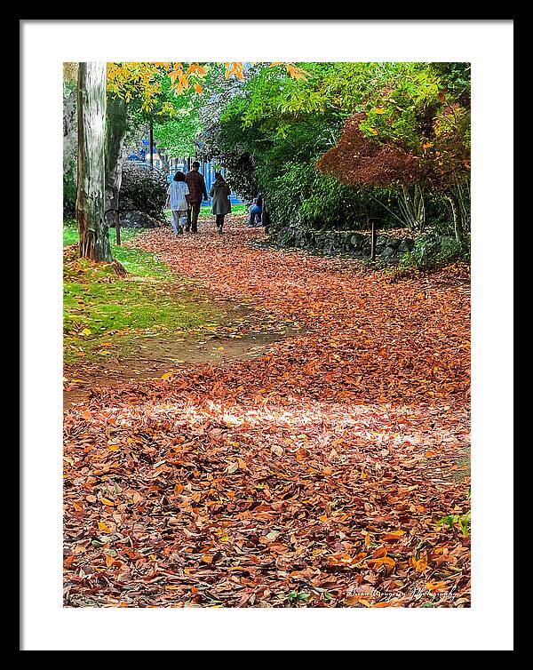Walk along the park  - Framed Print