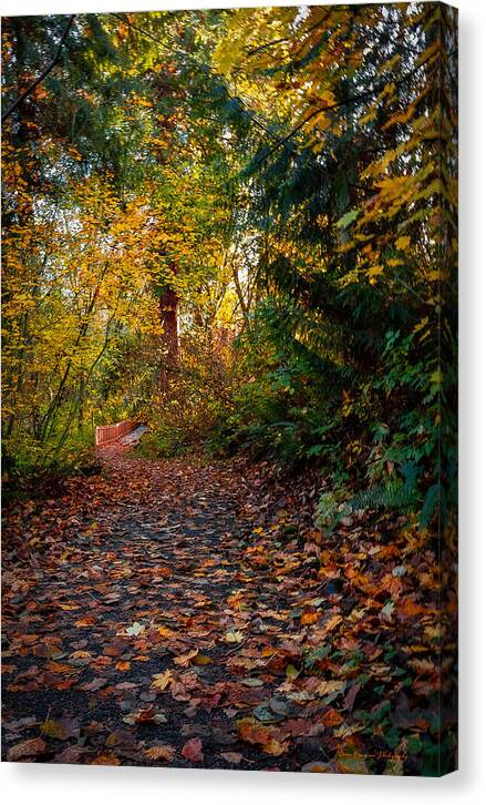 Walk in the park - Canvas Print