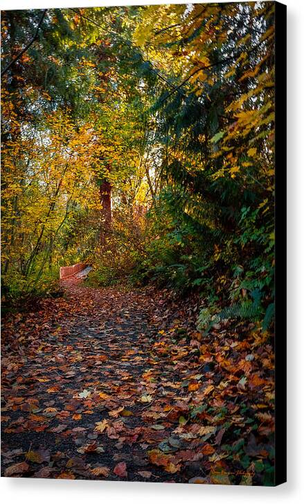 Walk in the park - Canvas Print
