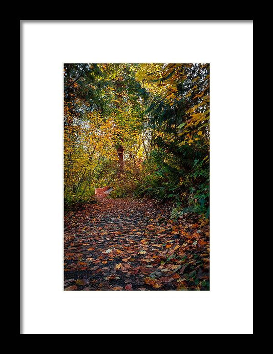 Walk in the park - Framed Print