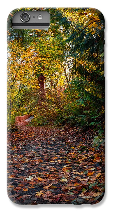 Walk in the park - Phone Case