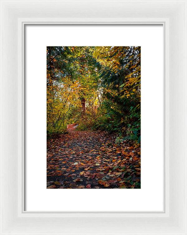 Walk in the park - Framed Print