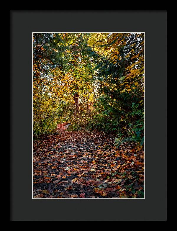 Walk in the park - Framed Print