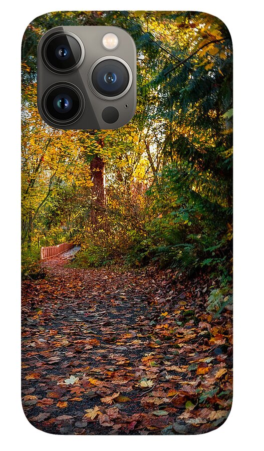 Walk in the park - Phone Case