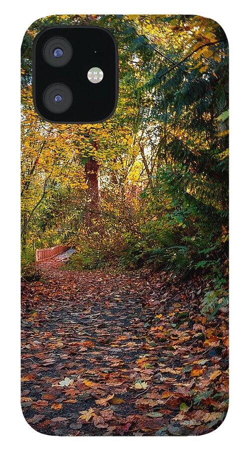 Walk in the park - Phone Case